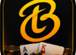 Burn and Turn Decision Training App Icon